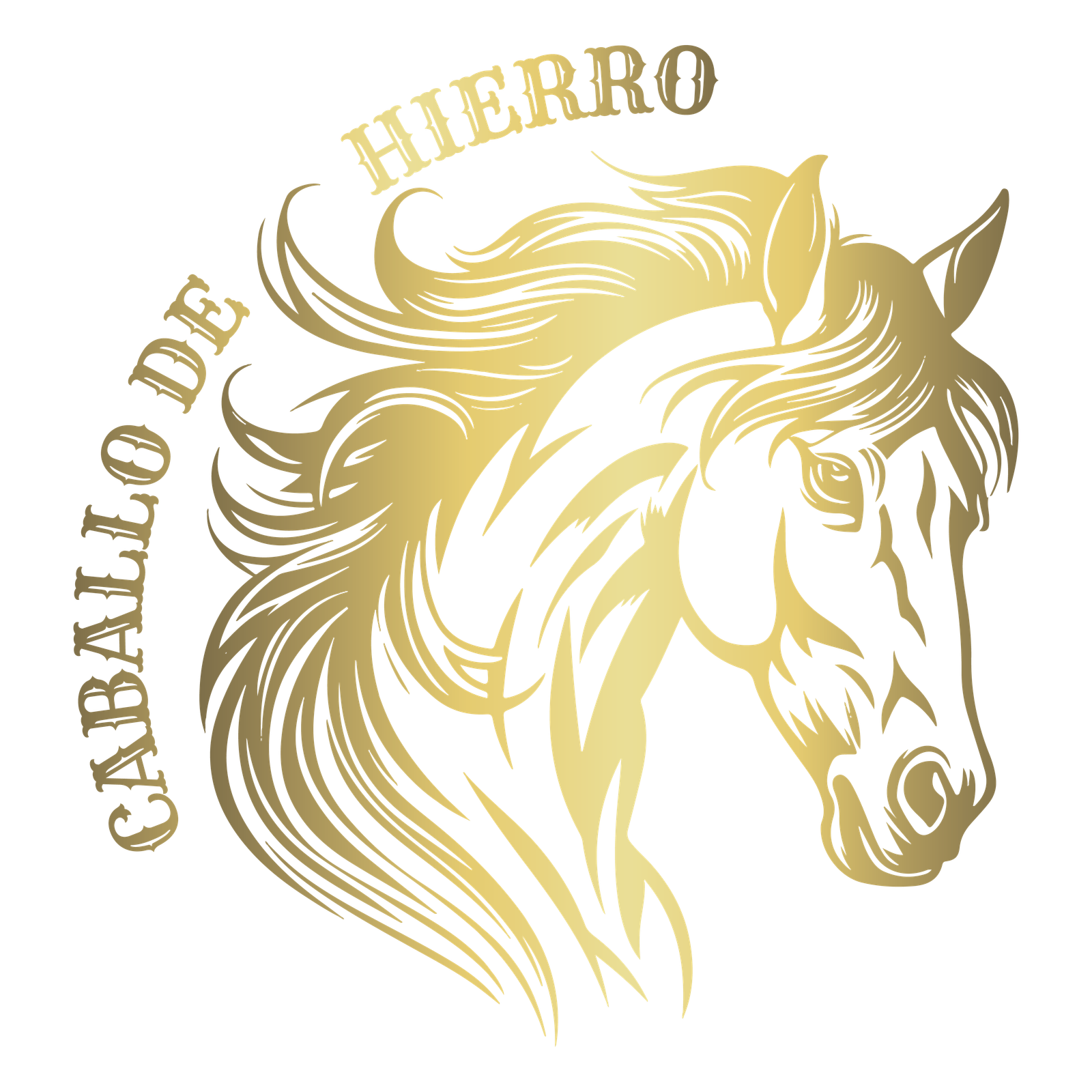 casacaballodehierro.com